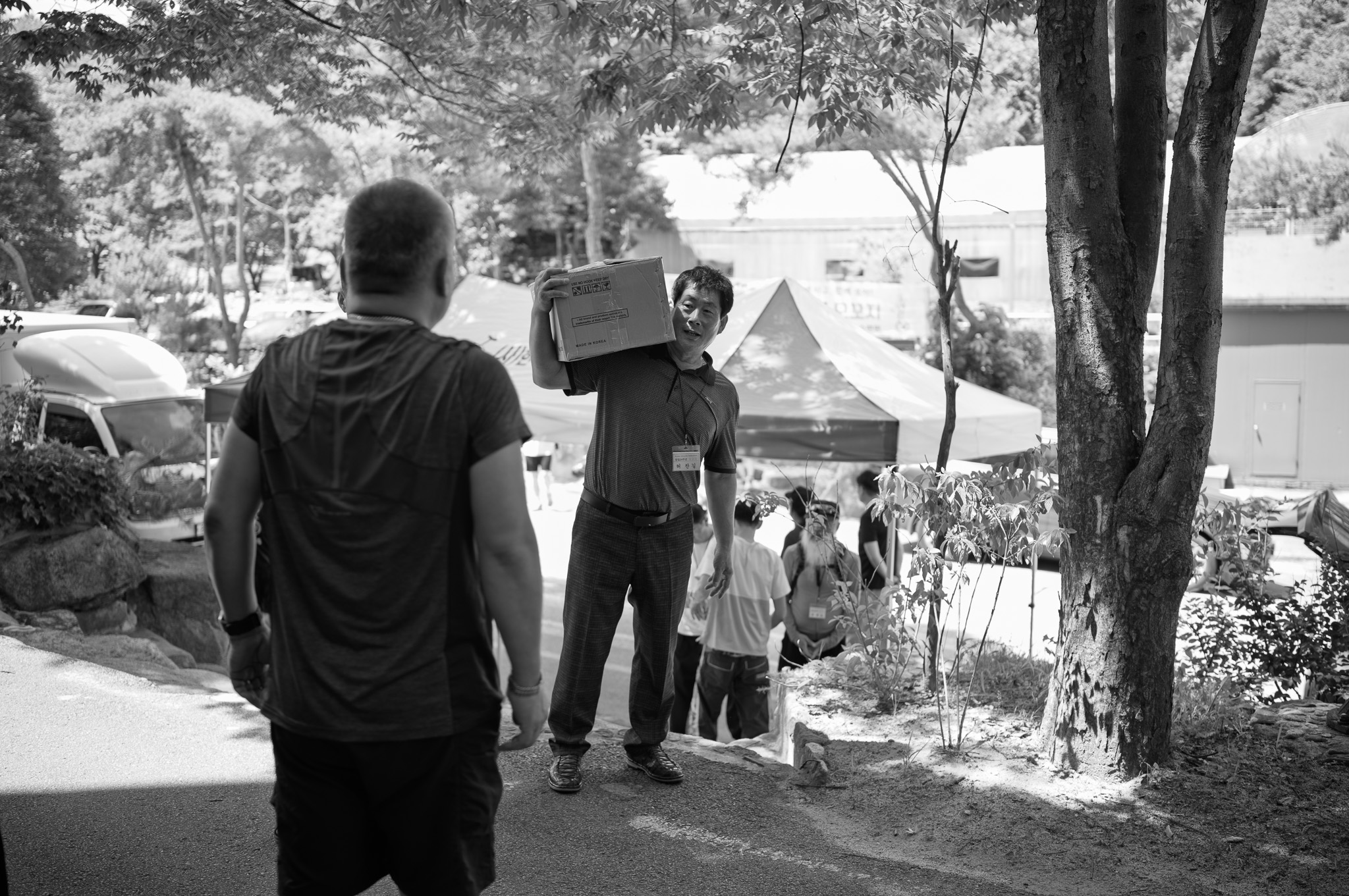 Leica M11 monochrom, APO summicron 35