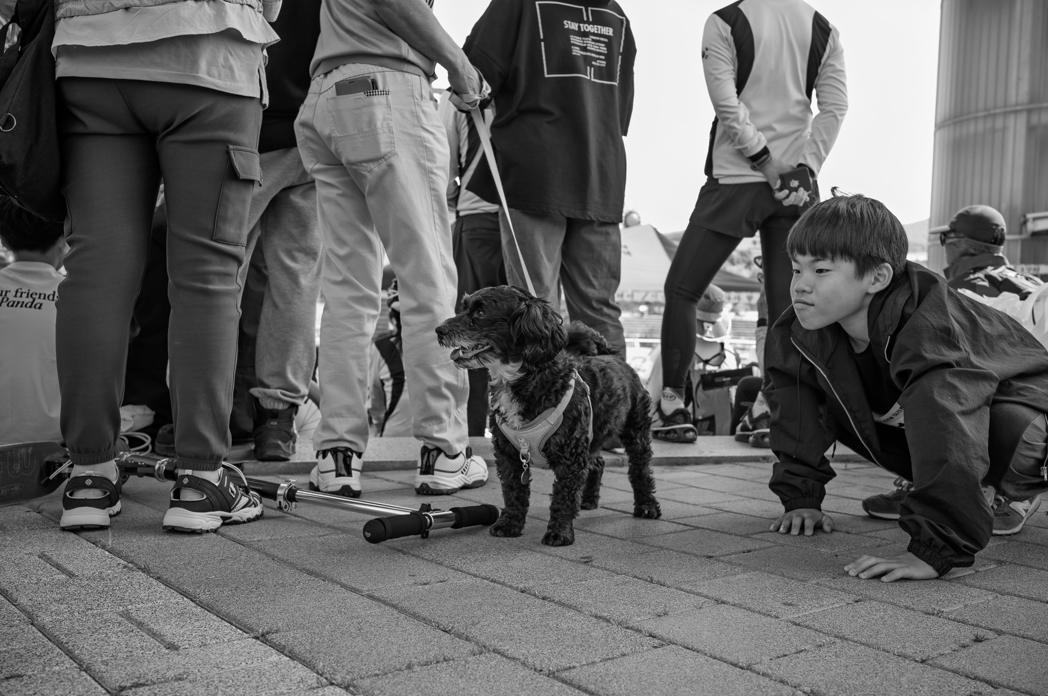 Leica M11 monochrom, APO summicron 35